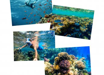 Day Trip To Hurghada