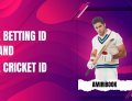 Unlock the potential of Silver Exchange ID with Amiribook