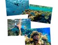 Day Trip To Hurghada